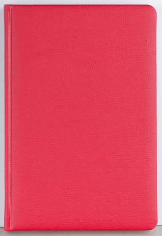 Agenda datata zilnic Office [3]