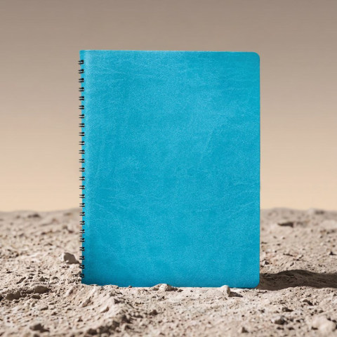 Agende nedatate - Agenda nedatata  Cosmos