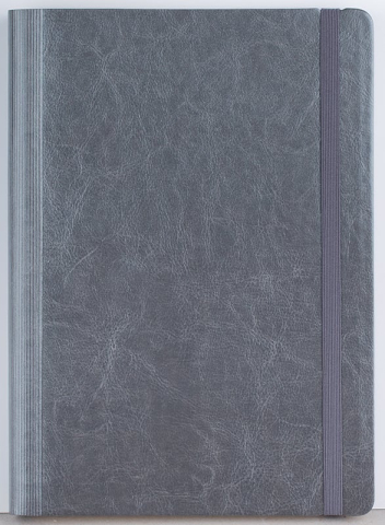 Agenda nedatata Idea [1]