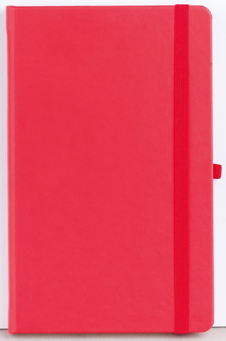 Agenda nedatata Notebook Pro 13x21cm [7]