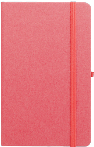 Agenda nedatata Notebook Pro 16,5x21cm [6]