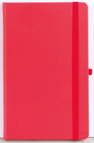 Agenda nedatata Notebook Pro 16x21cm [7]