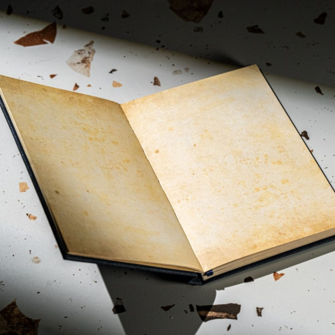 Agenda nedatata NOVA velin [4]