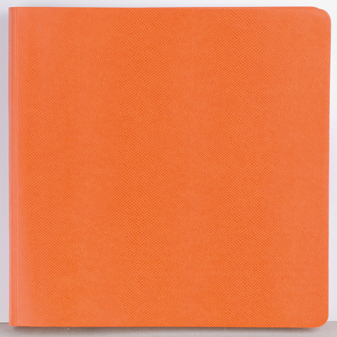 Agenda nedatata Quatro Flex [2]