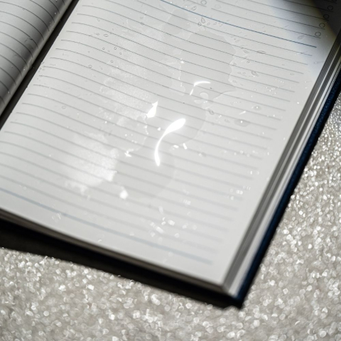 Agenda nedatata STONE [11]