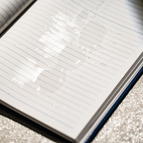Agenda nedatata STONE [12]