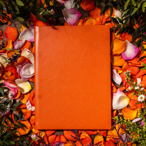 Agenda nedatata Zen [6]