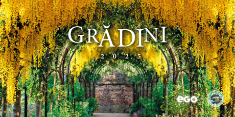 Calendar de birou COLECTIE ALTERNATIVA* , CA [4]