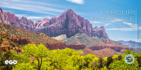 Calendar de birou COLECTIE ALTERNATIVA* , CA [11]