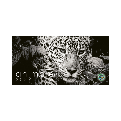Calendar de birou COLECTIE ALTERNATIVA* , CA [2]
