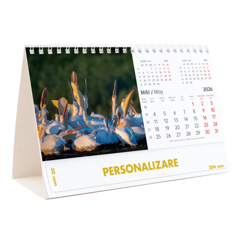 Calendar de birou Romania - comori nepretuite , 12 file, CD [10]