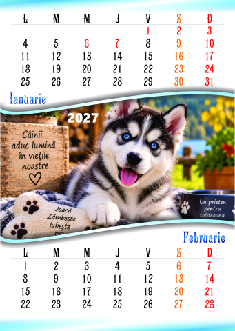 Calendare de perete - Calendar de perete A3 CATEI- 6 file