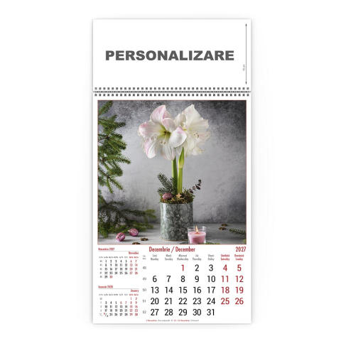 Calendar de perete Buchete, CD [11]