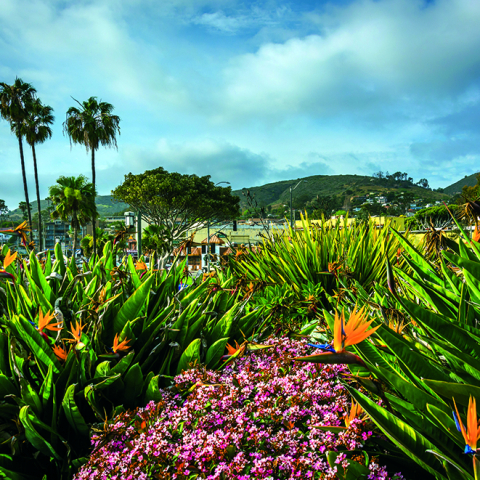 Calendar de perete Gardens, CT [10]