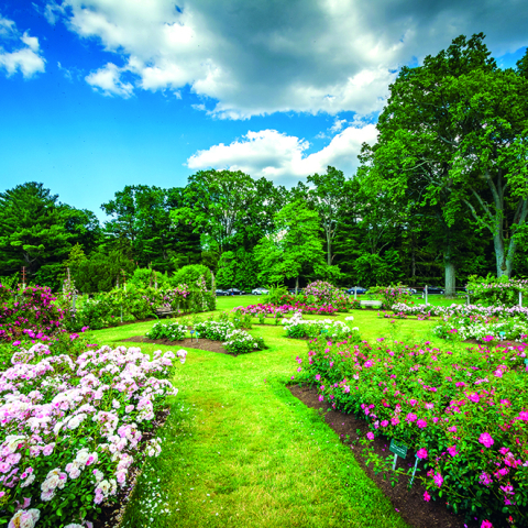 Calendar de perete Gardens, CT [9]