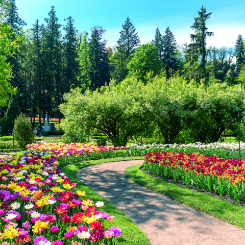 Calendar de perete Gardens, CT [5]