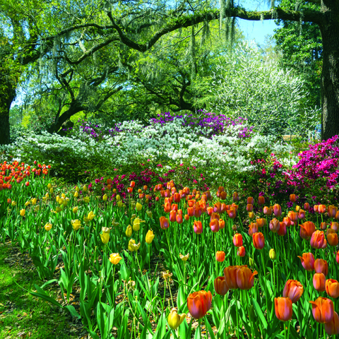 Calendar de perete Gardens, CT [6]