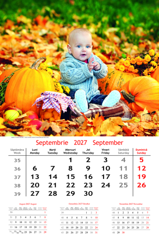 Calendar de perete Kids, CT [1]
