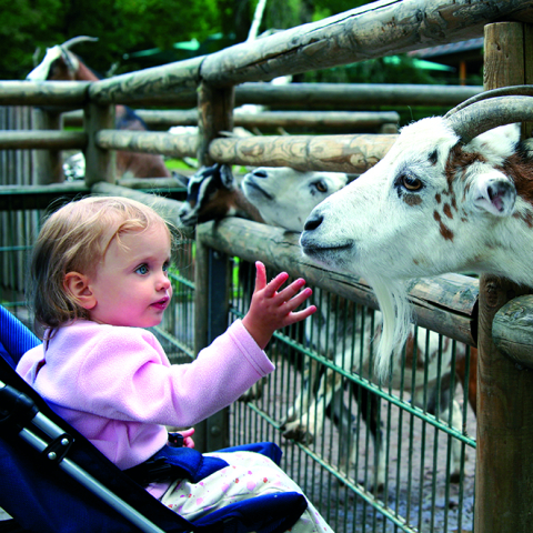 Calendar de perete Kids, CT [4]
