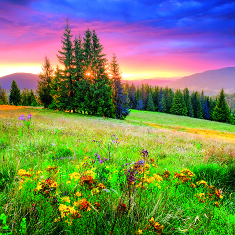 Calendar de perete Landscapes, CT [6]