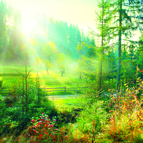 Calendar de perete Landscapes, CT [9]