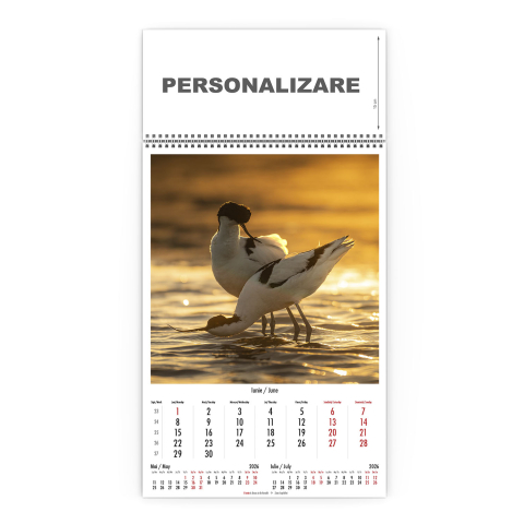 Calendar de perete Magia Deltei, CD [6]