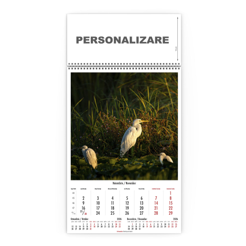 Calendar de perete Magia Deltei, CD [11]