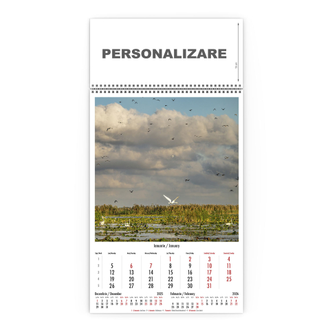 Calendar de perete Magia Deltei, CD [1]