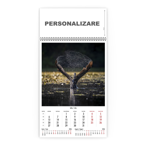 Calendar de perete Magia Deltei, CD [7]