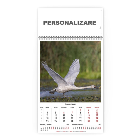 Calendar de perete Magia Deltei, CD [1]