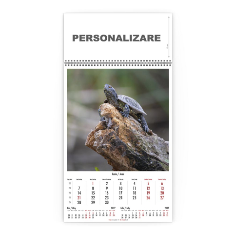 Calendar de perete Magia Deltei, CD [6]