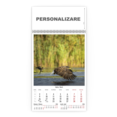 Calendar de perete Magia Deltei, CD [3]