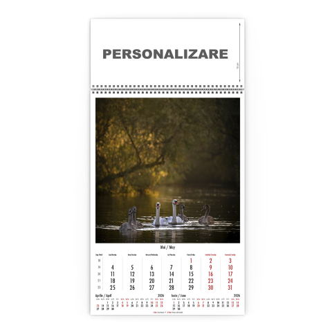 Calendar de perete Magia Deltei, CD [5]