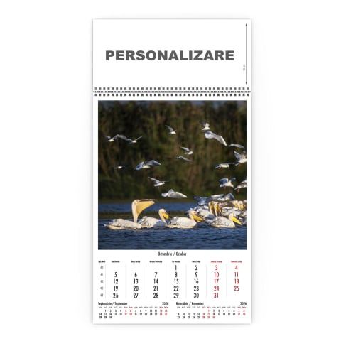 Calendar de perete Magia Deltei, CD [10]