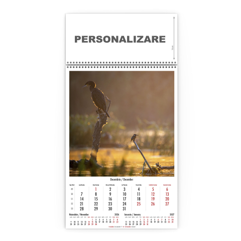 Calendar de perete Magia Deltei, CD [12]