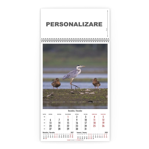 Calendar de perete Magia Deltei, CD [11]