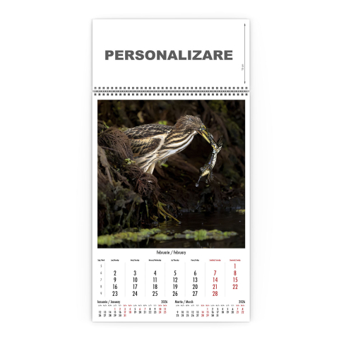 Calendar de perete Magia Deltei, CD [2]