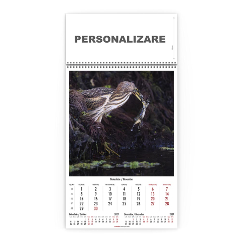 Calendar de perete Magia Deltei, CD [10]