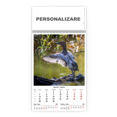 Calendar de perete Magia Deltei, CD [9]