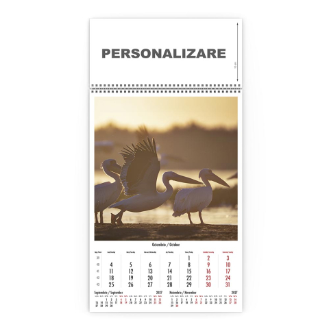 Calendar de perete Magia Deltei, CD [9]