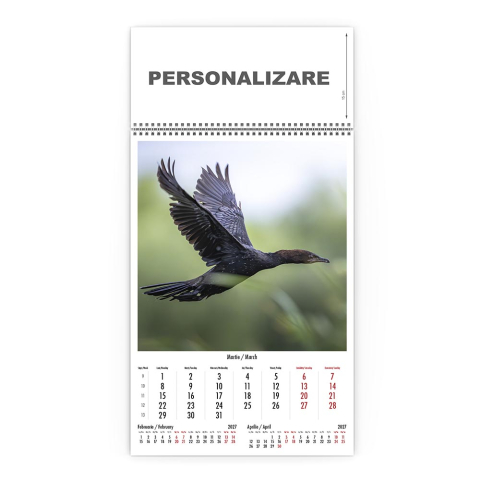 Calendar de perete Magia Deltei, CD [3]