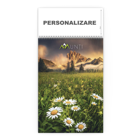 Calendare de perete - Calendar de perete Munti, CD