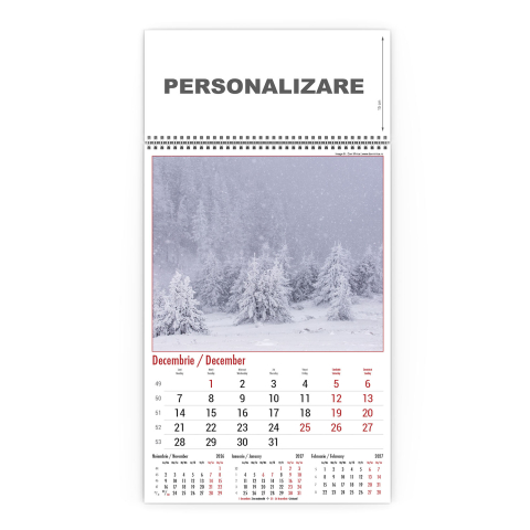 Calendar de perete Nature, CD [12]