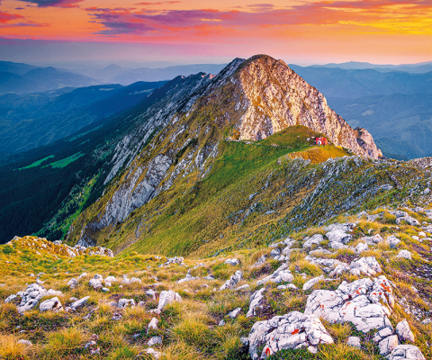 Calendar de perete Romania, CA [4]