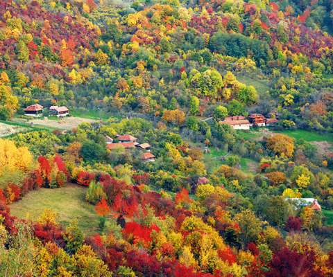Calendar de perete Romania, CA [11]