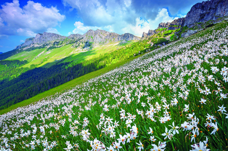 Calendar de perete Romania, CA [5]