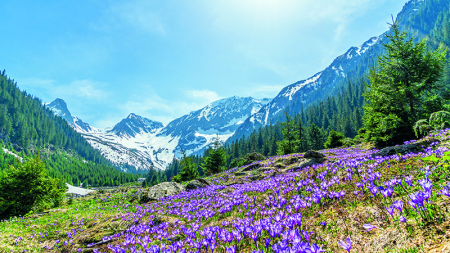 Calendar de perete Romania, CA [4]