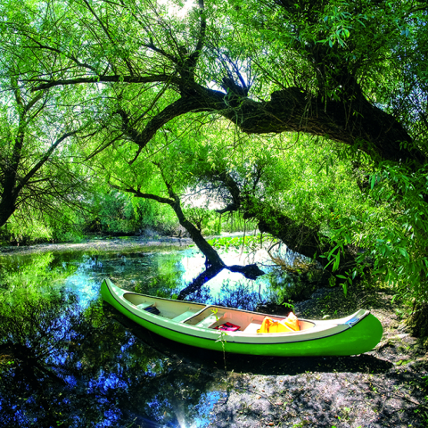 Calendar de perete Romania, CT [8]