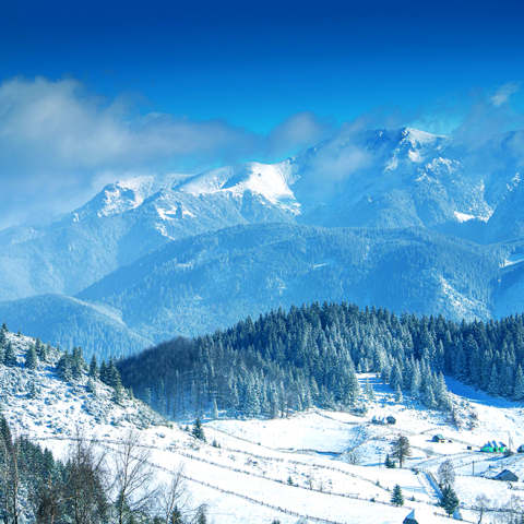 Calendar de perete Romania, CT [2]