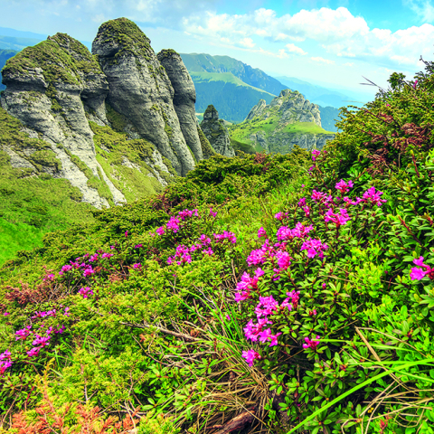 Calendar de perete Romania, CT [5]